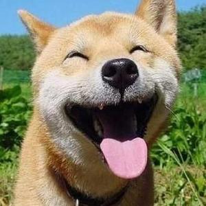 精品大香伊蕉在人线APP大全
