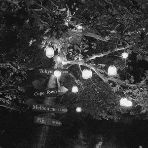 精品大香伊蕉在人线APP大全
