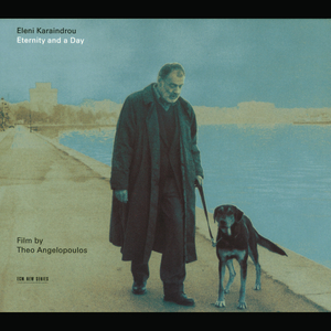 精品大香伊蕉在人线APP大全
